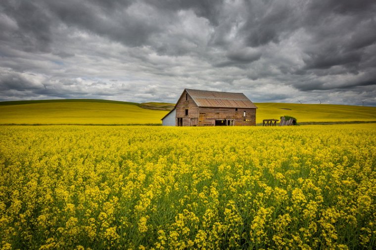 014 Palouse.jpg